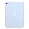 Powder Blue - iPad