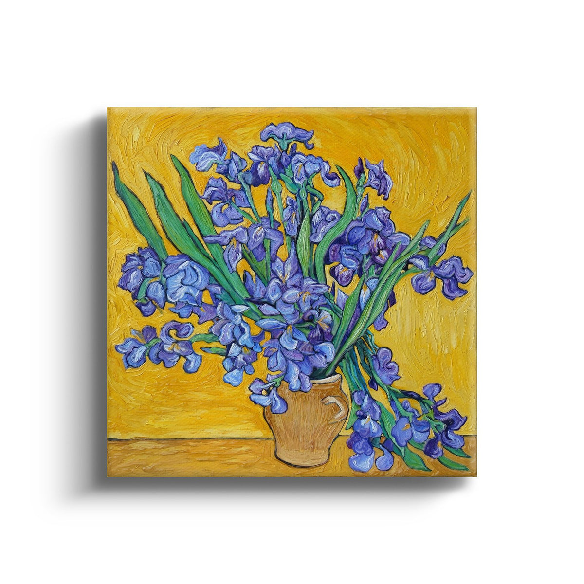 MC - Irises