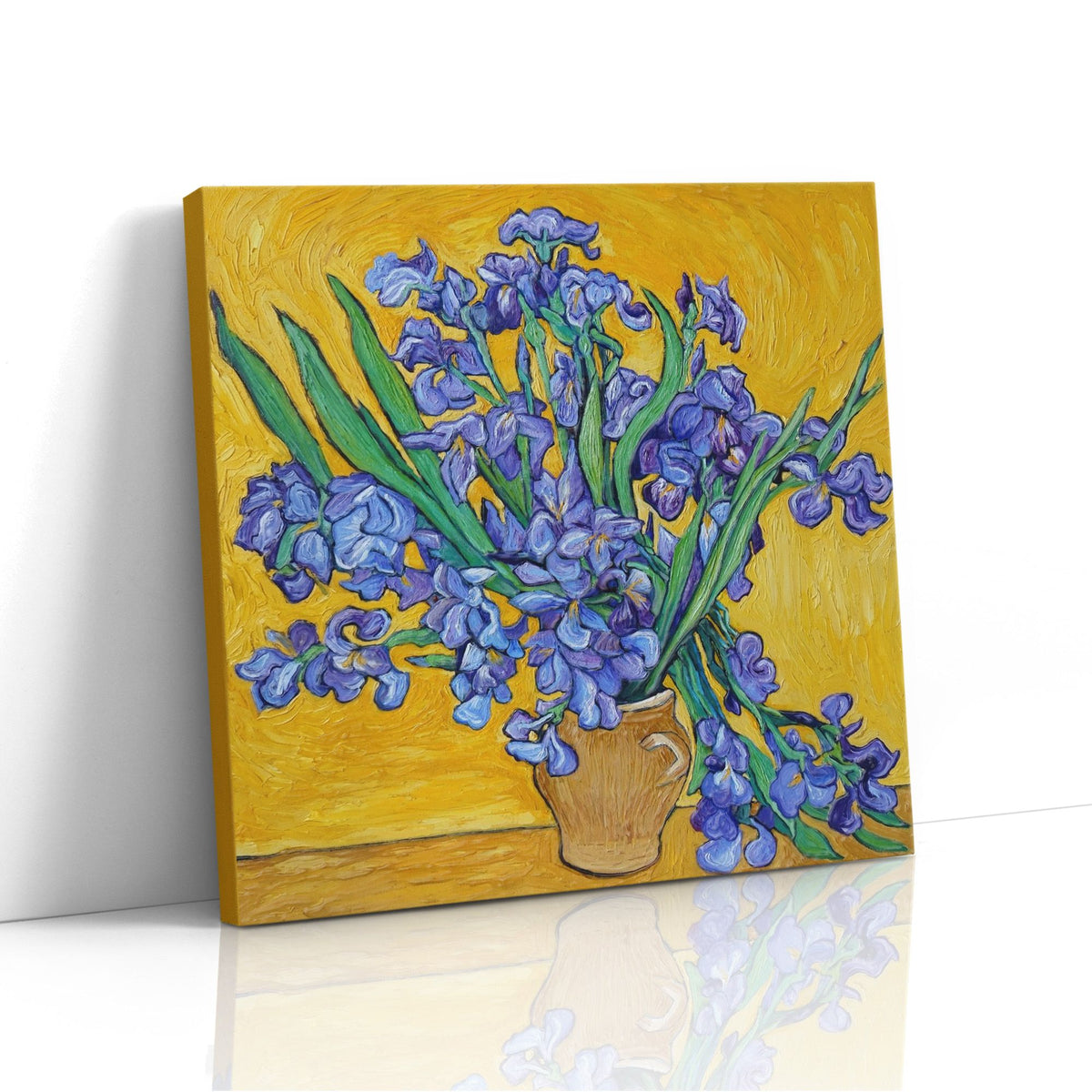MC - Irises