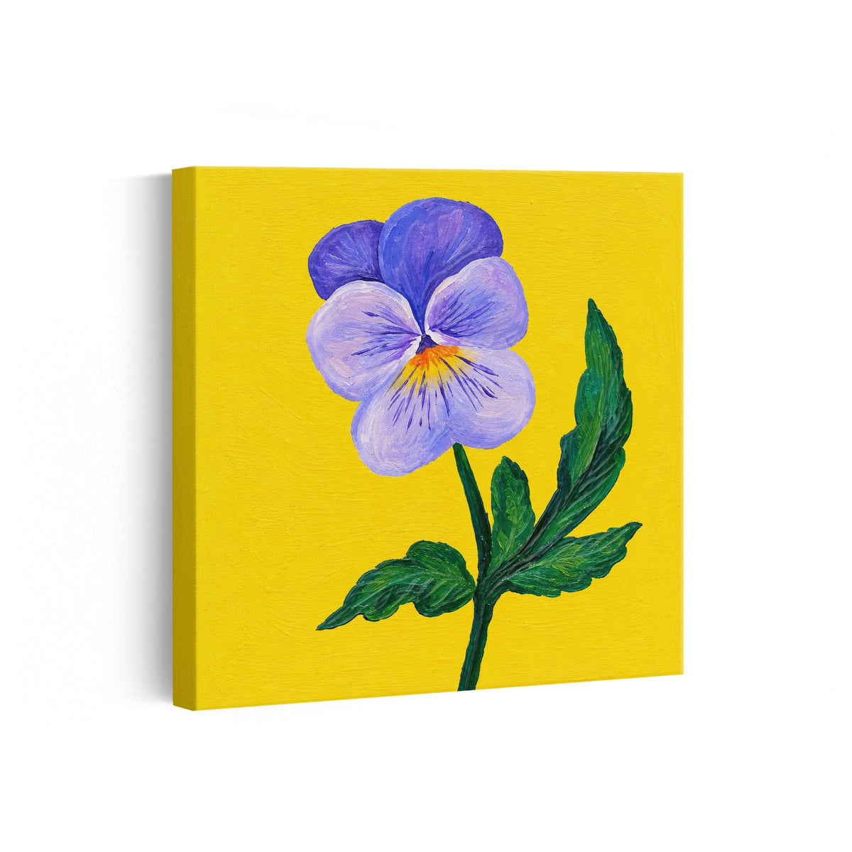 MC - Purple Pansy