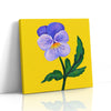 MC - Purple Pansy
