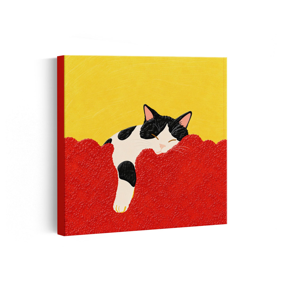 MC - Sleeping Cat