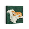 MC - Sleeping Ginger Cat