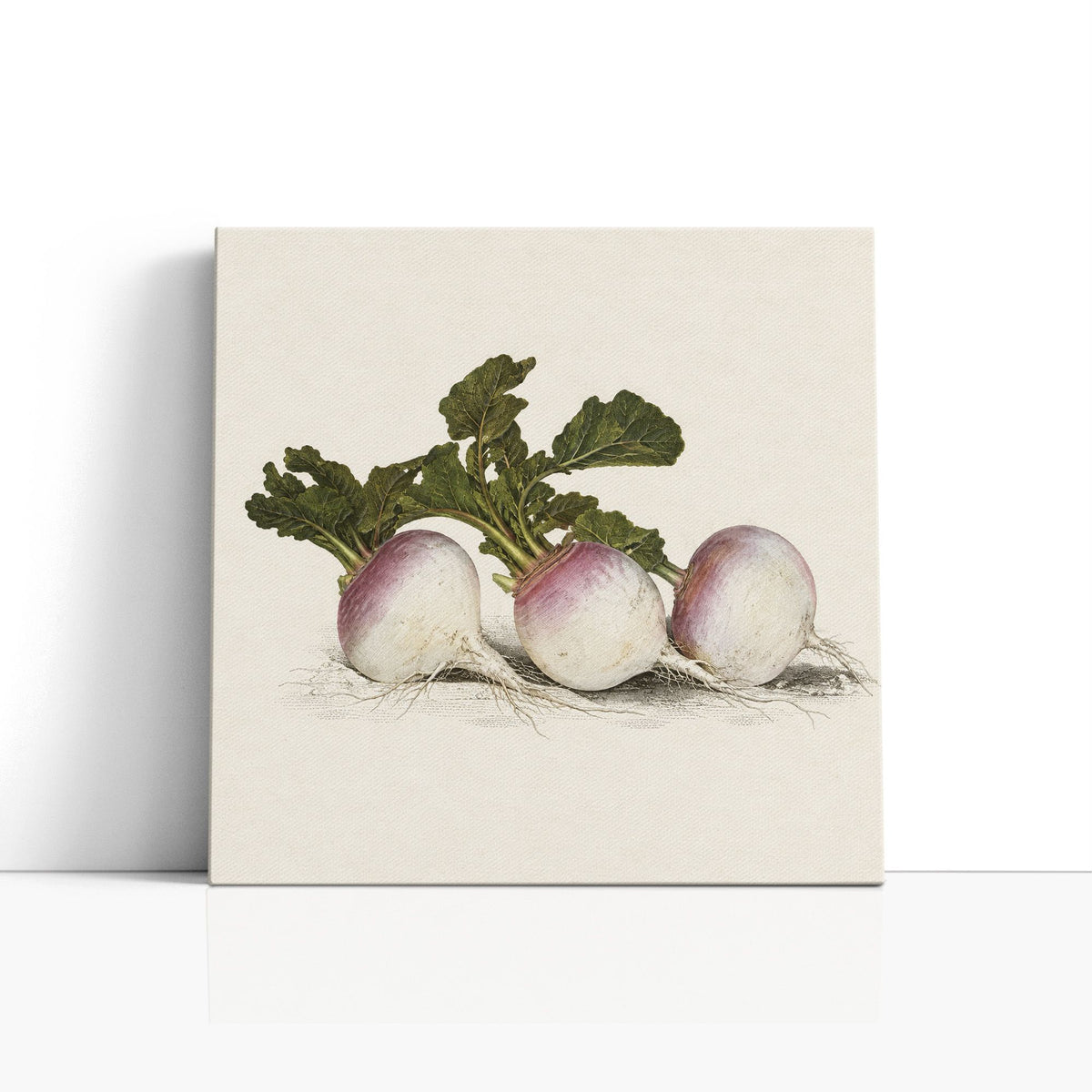 MC - Three Turnips