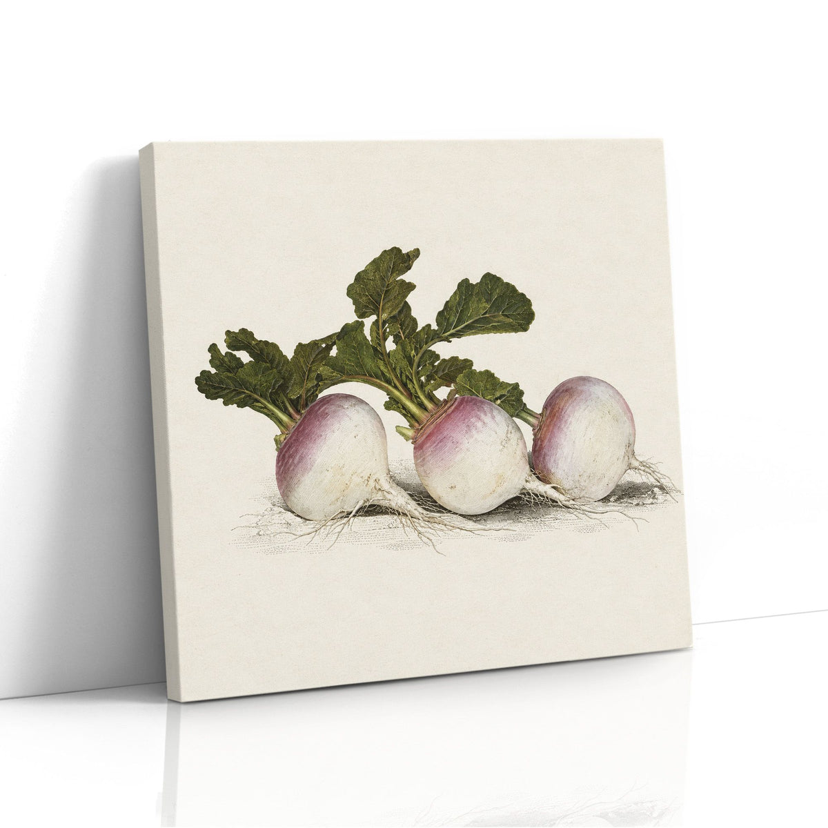 MC - Three Turnips