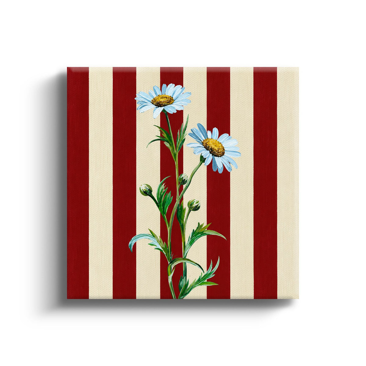 MC - Two Daisies