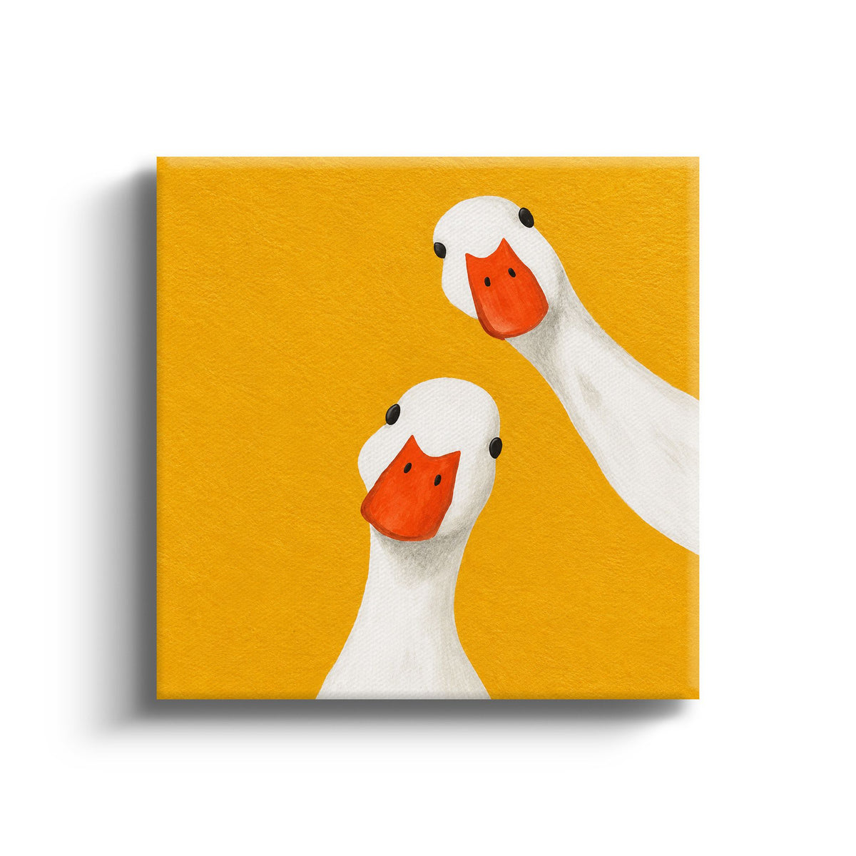 MC - Two White Ducks