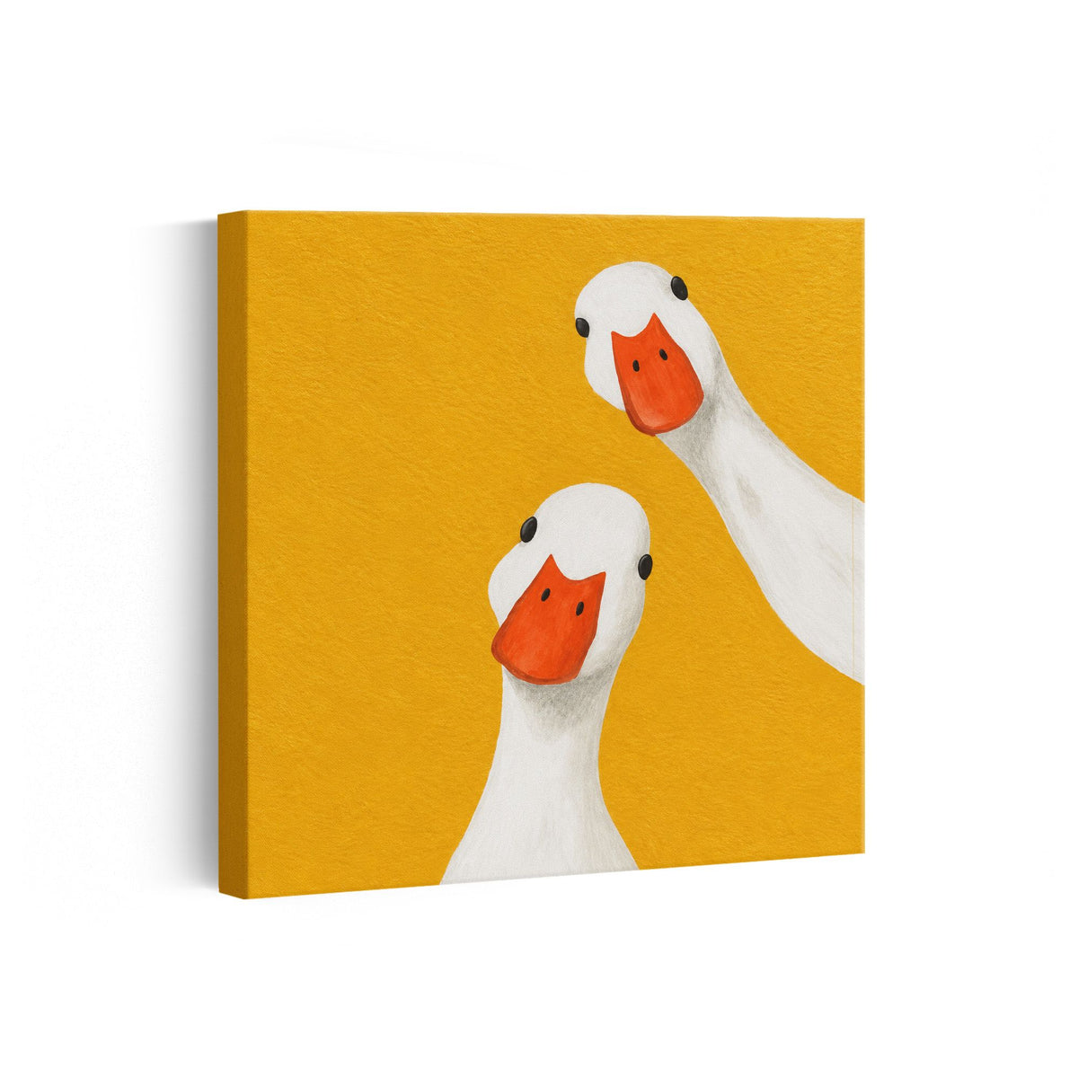 MC - Two White Ducks