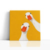 MC - Two White Ducks
