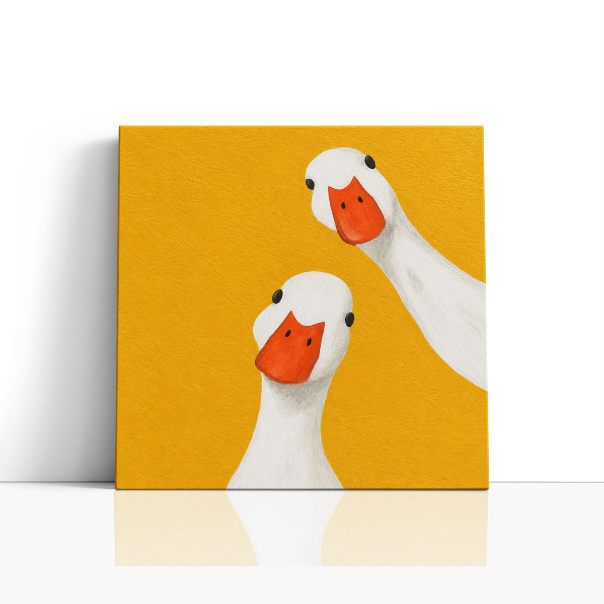 MC - Two White Ducks