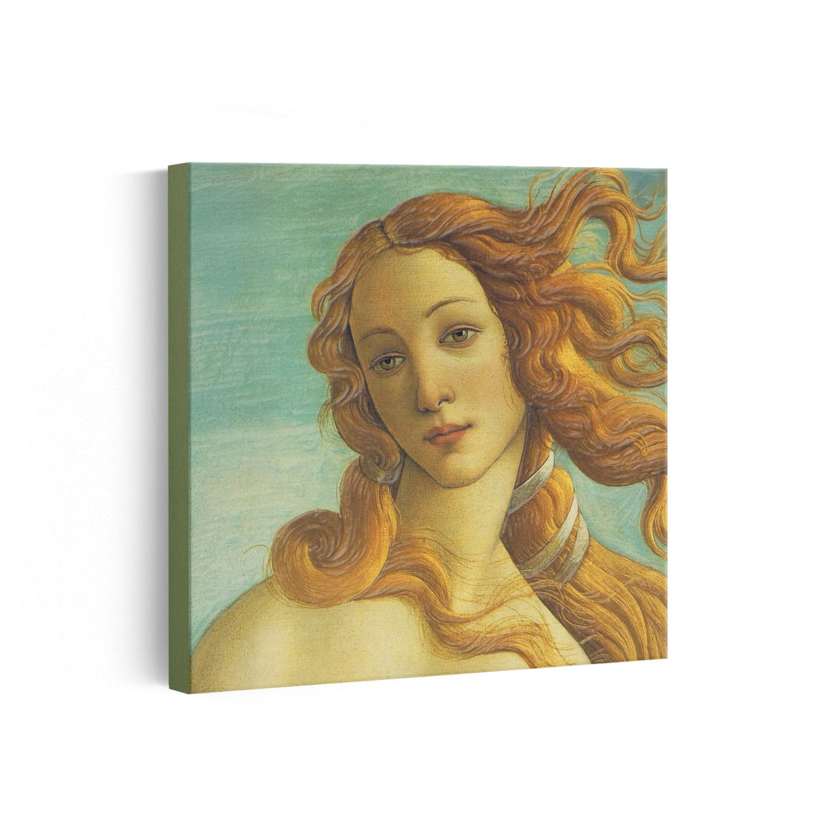 MC - Venus